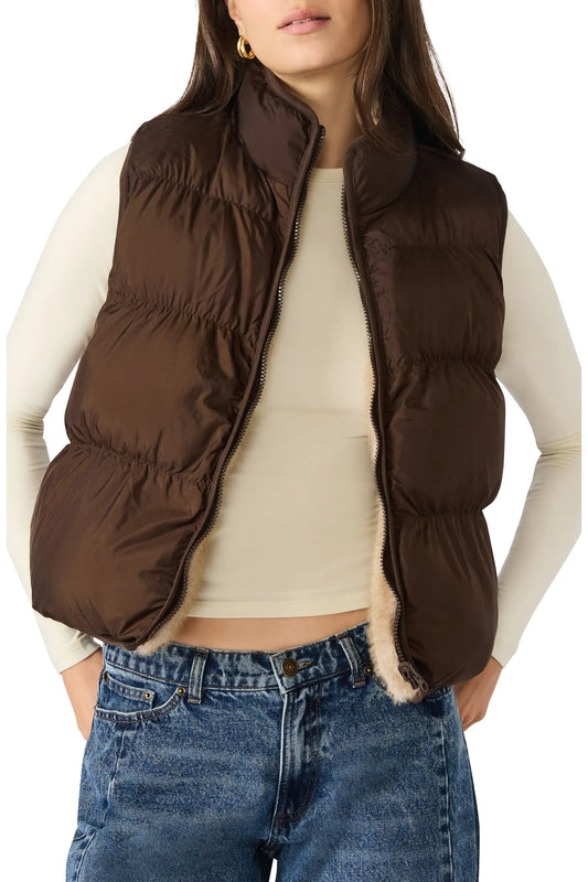 Espresso Brady Vest