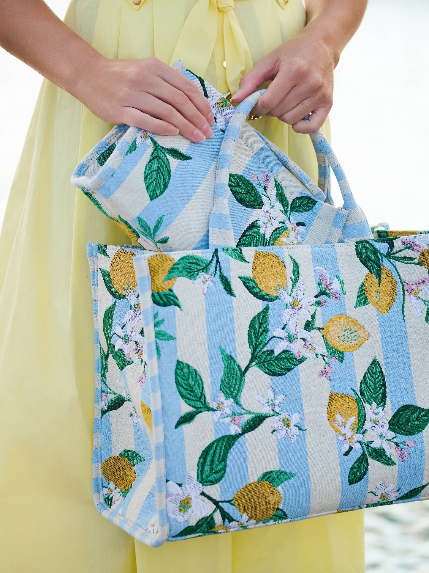 Jacquard Lemon Stripe Pouch