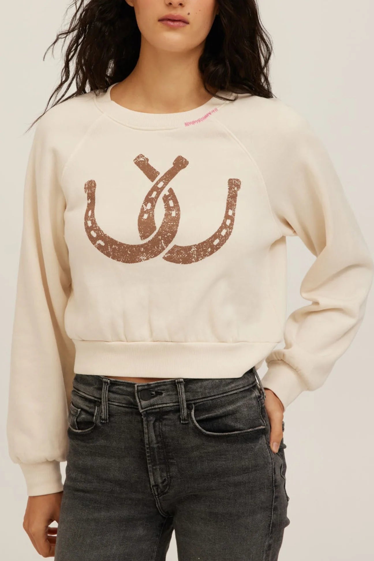 Double Horseshoe Shrunken Sweatshirt