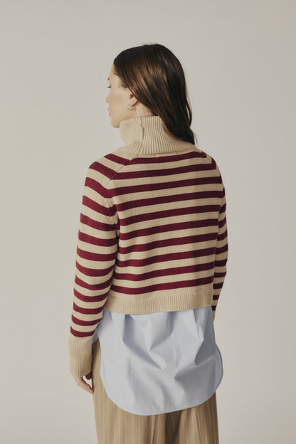 Mid Length Striped Turtleneck